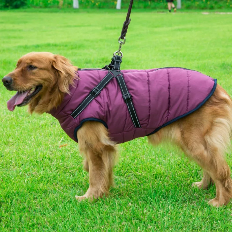 Dog Jacket With Harness
